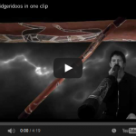YT 31 Didgeridoos in one clip
